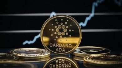 اکوسیستم کاردانو - کوین ایران