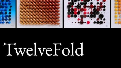TwelveFold - کوین ایران