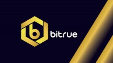 صرافی کریپتوی Bitrue - کوین ایران